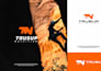 create a professional logo and full brand style guide